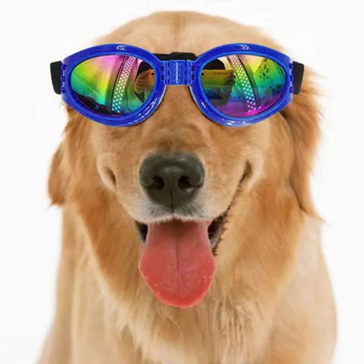 GAFAS PARA MASCOTAS