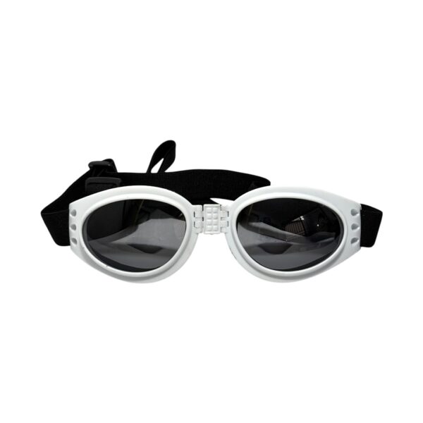 GAFAS PARA MASCOTAS - Image 3