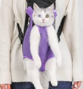 CARGADOR PARA MASCOTAS