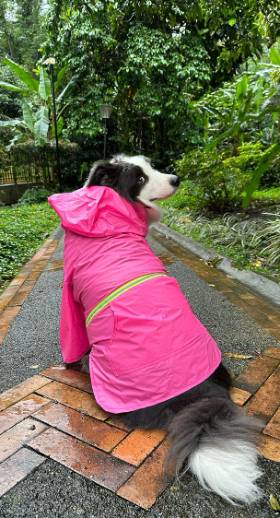 IMPERMEABLE TALLA S