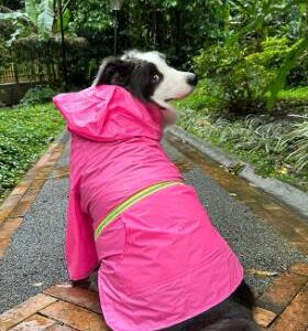 IMPERMEABLE TALLA L