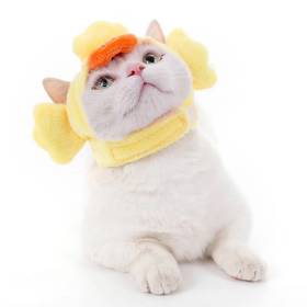GORRO DE ANIMALES PARA MASCOTAS