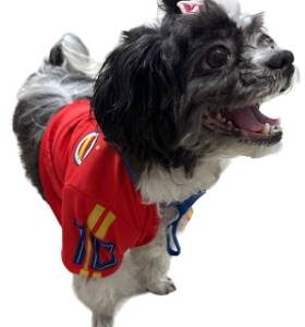 CAMISETAS DEPORTIVAS PARA MASCOTAS