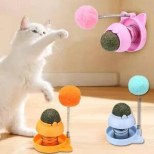 CATNIP INTERACTIVO