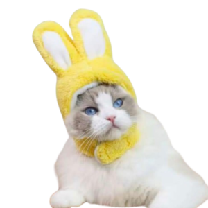 GORRO DE ANIMALES PARA MASCOTAS
