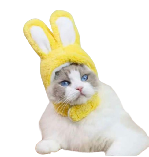 GORRO DE ANIMALES PARA MASCOTAS