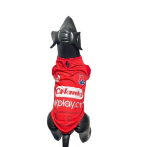 CAMISETA EQUIPOS TALLA XXL