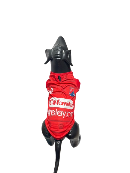 CAMISETA EQUIPOS TALLA XXL