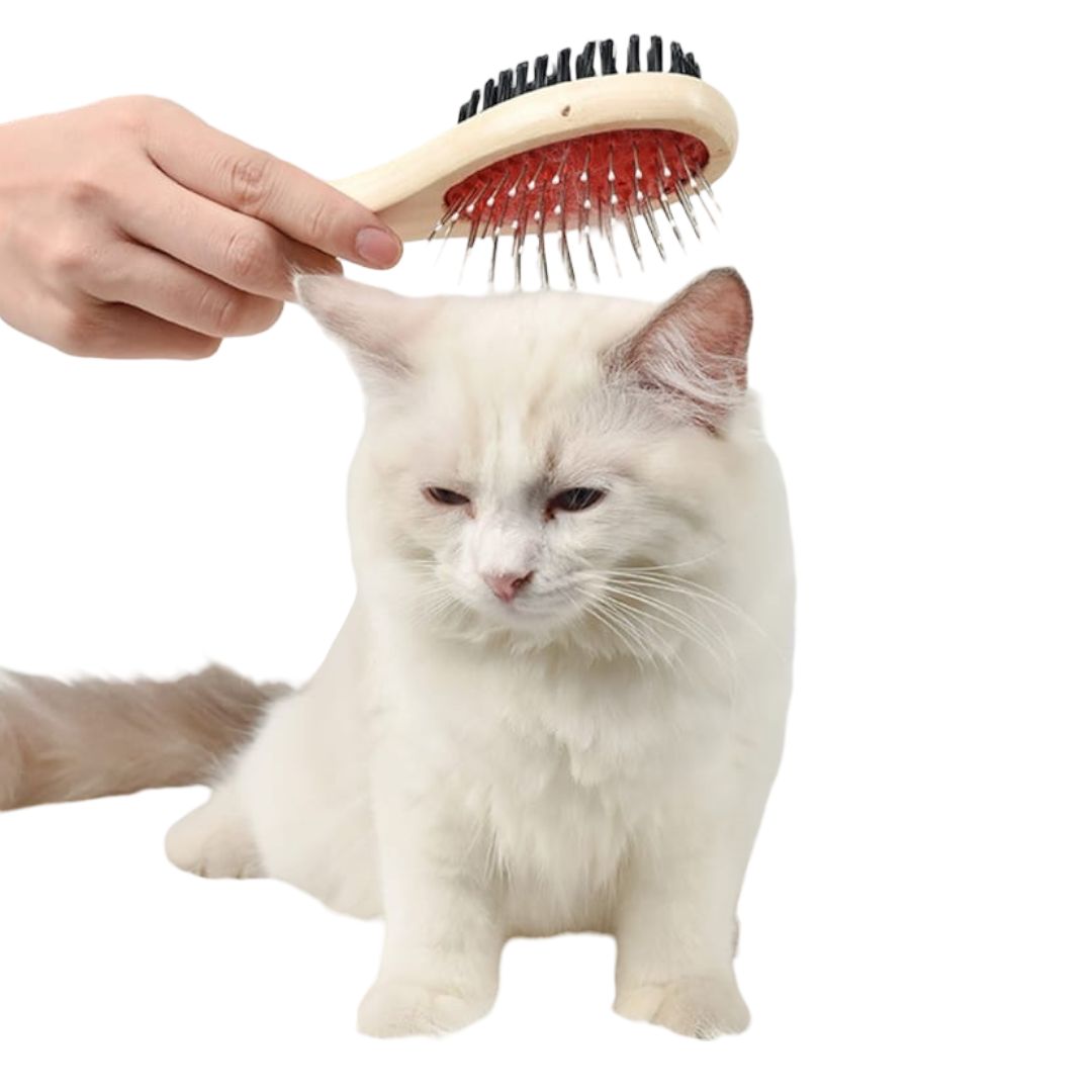 CEPILLO DOBLE CARA GRANDE