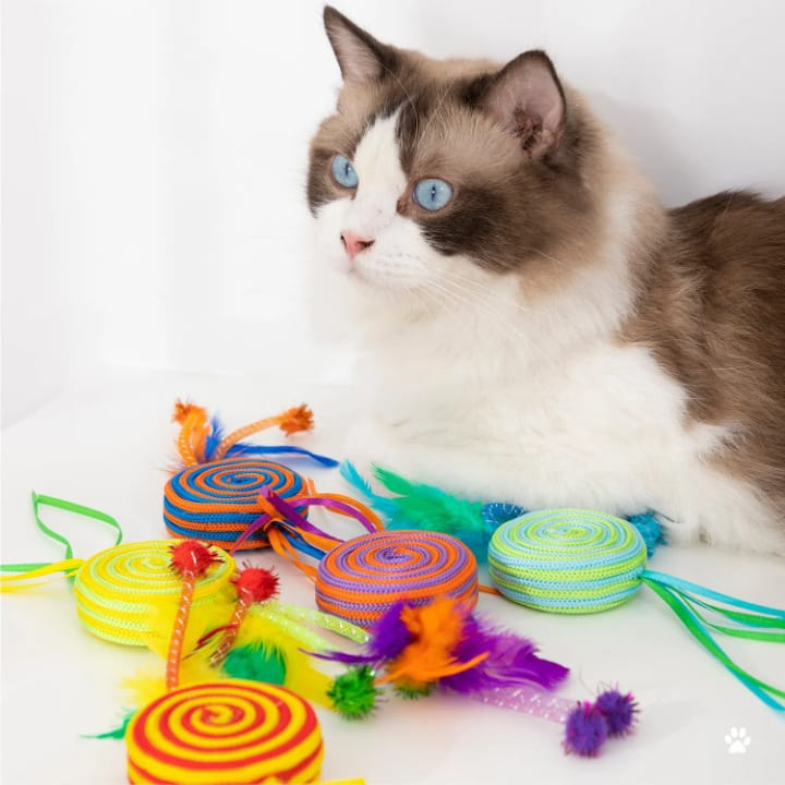 JUGUETE  PARA GATO PLUMA