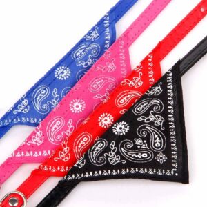 COLLAR PAÑOLETA 1CM * 12