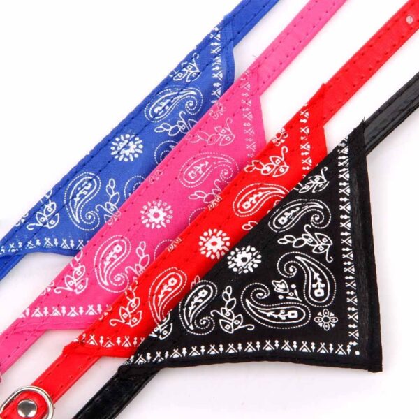 COLLAR PAÑOLETA 1CM * 12