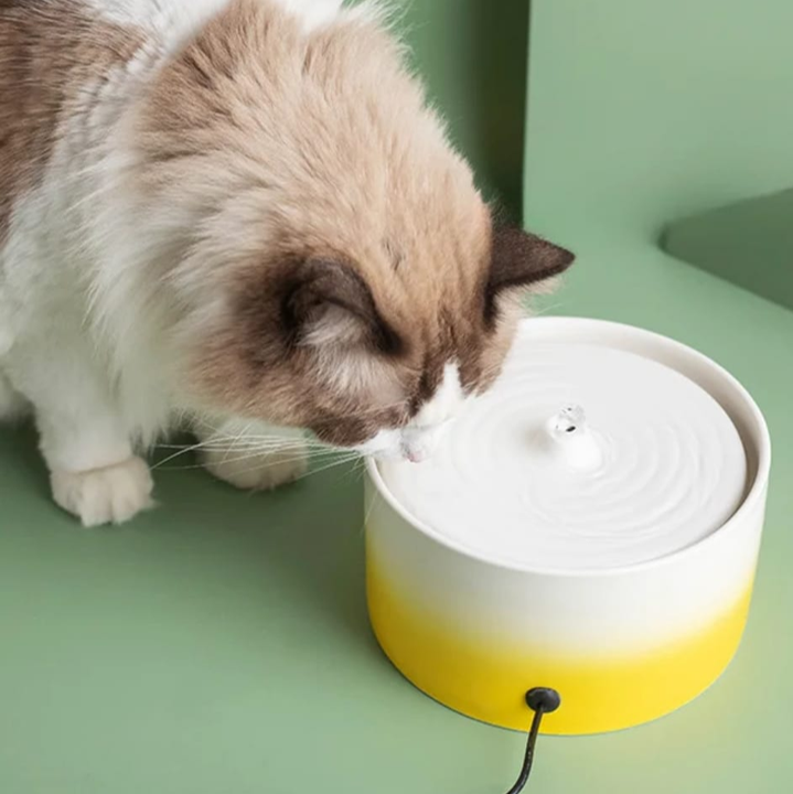 FUENTE CERAMICA 1.5L