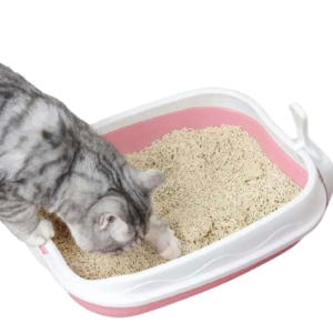 ARENERO DE GATO