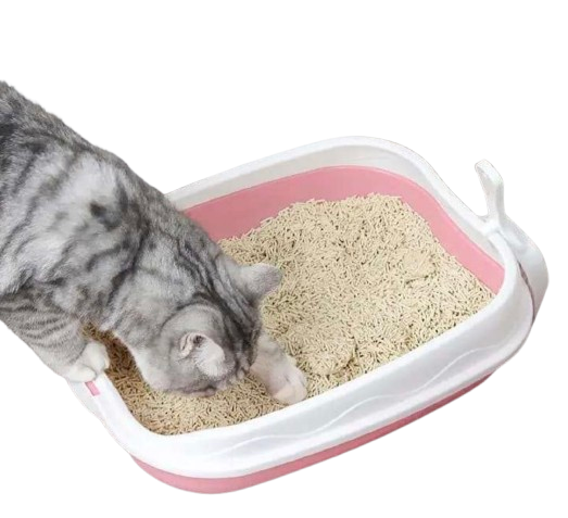 ARENERO DE GATO