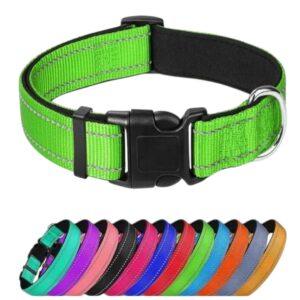 COLLAR COLORES CON SEGURO MEDIANO