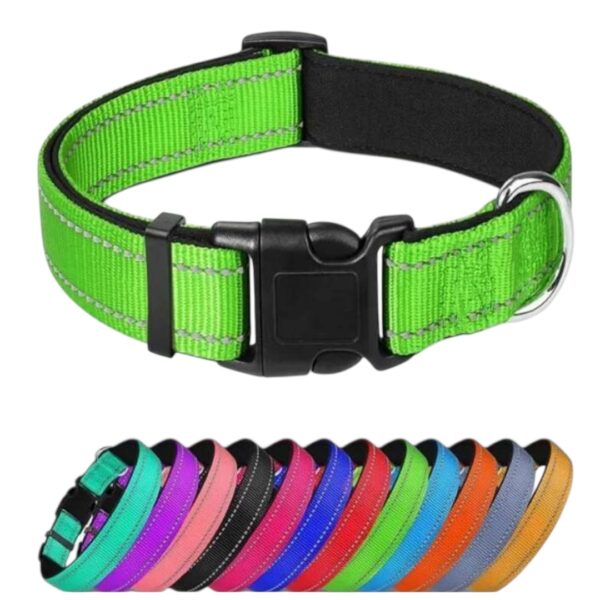 COLLAR COLORES CON SEGURO MEDIANO