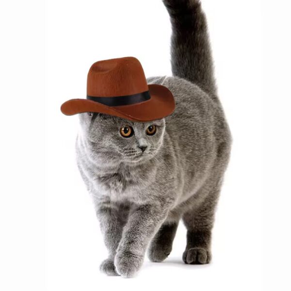 SOMBRERO PARA MASCOTAS - Image 3