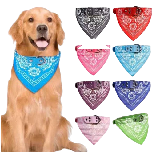 COLLAR PAÑOLETA XL