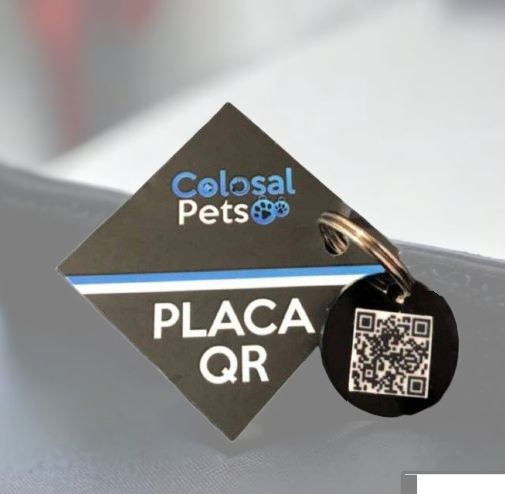 PLACA QR