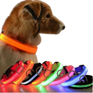 COLLAR CON ILUMINACION LED