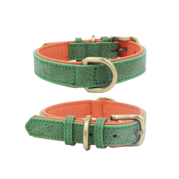 COLLAR DE LUJO EN CUERO TALLA XS - Image 4