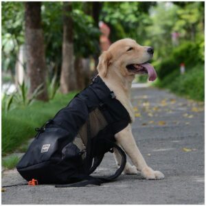 MORRAL VIAJERO