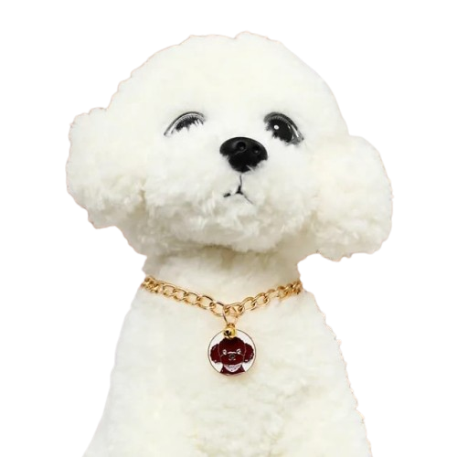 COLLAR CON PLACA PARA MASCOTA
