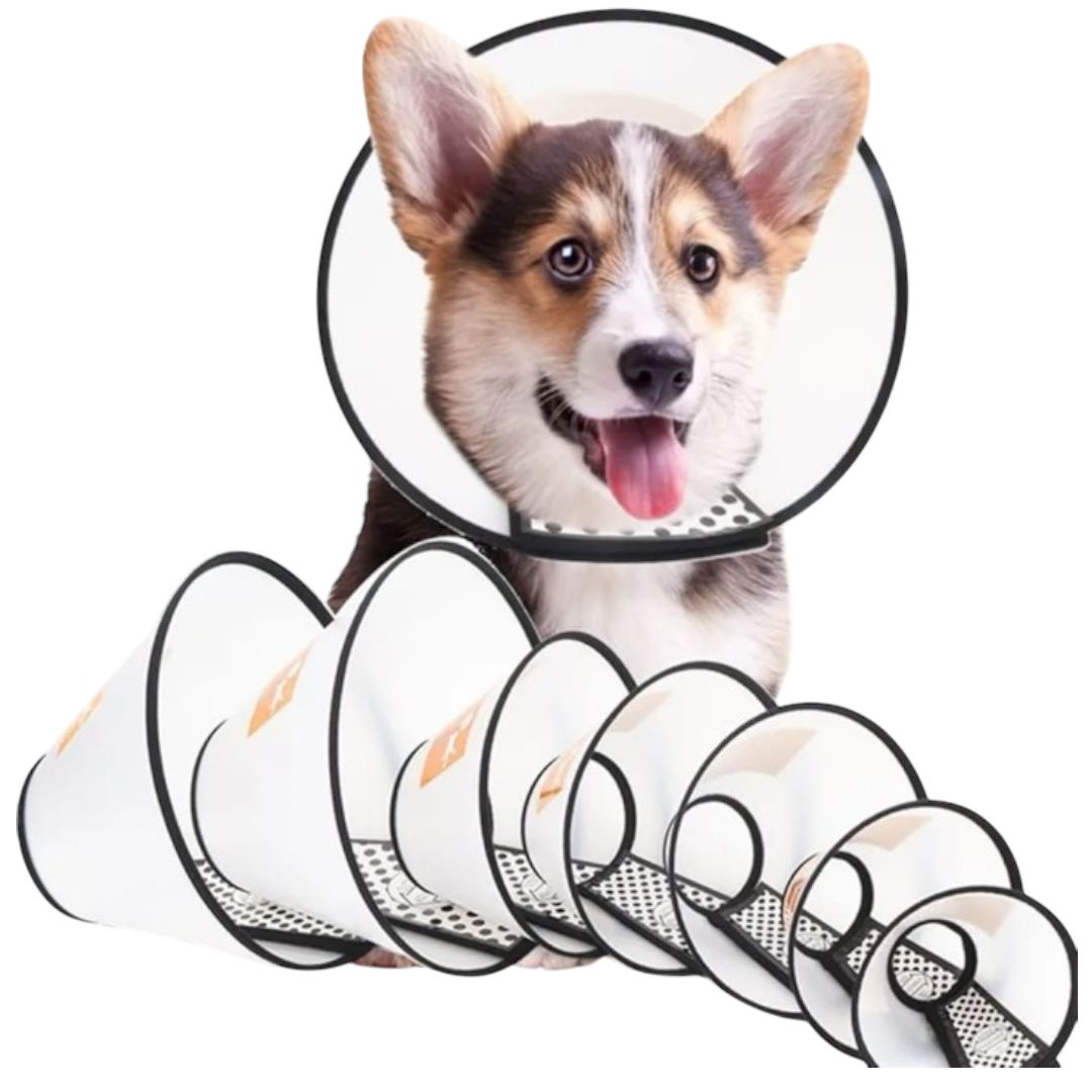 COLLAR CAMPANA 68 CM