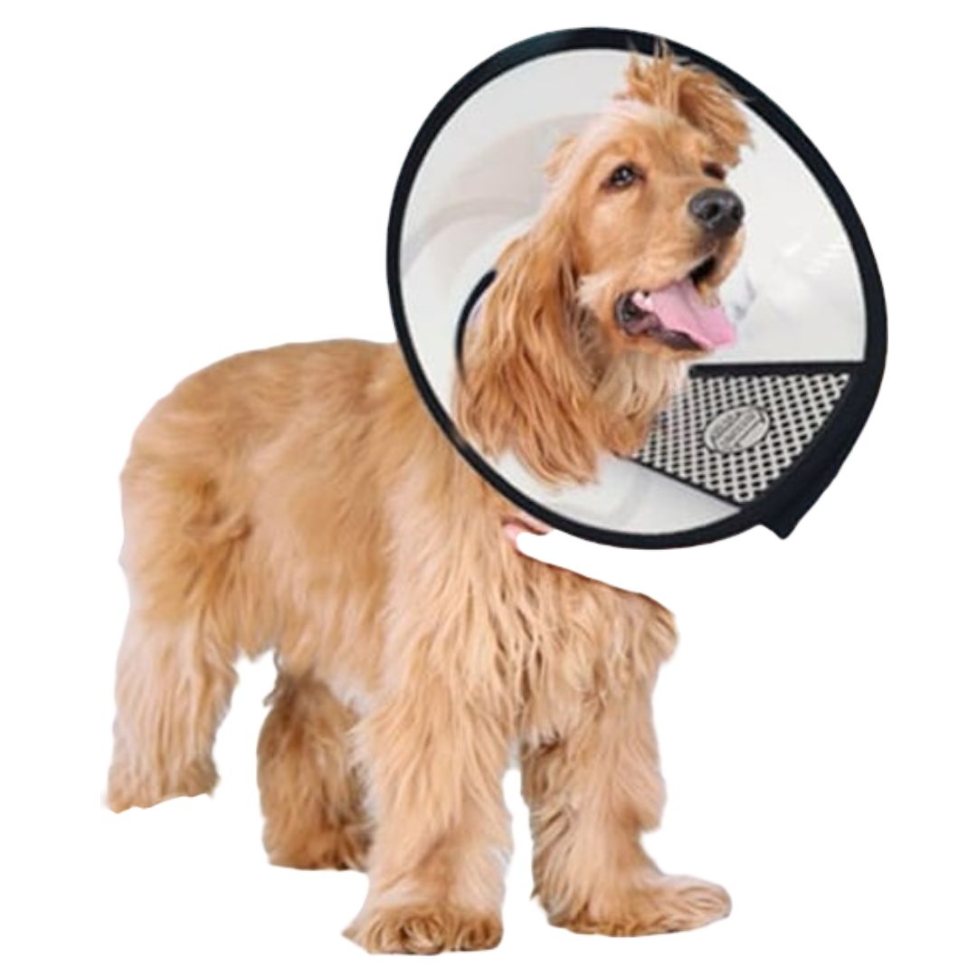 COLLAR CAMPANA 39 CM