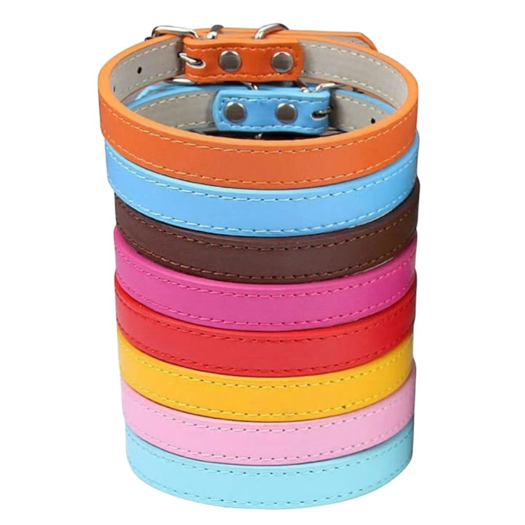 COLLAR CUERO COLORES TALLA S