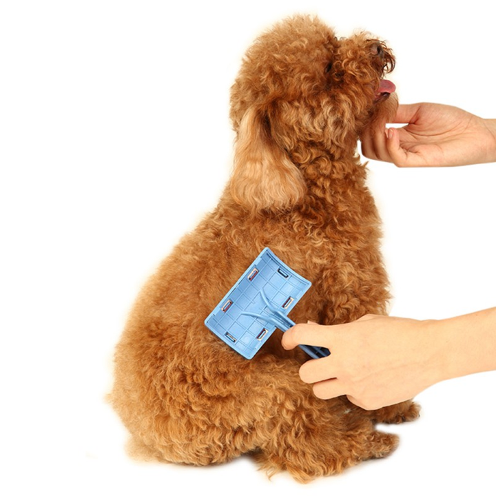 RASQUETA PARA MASCOTA GRANDE