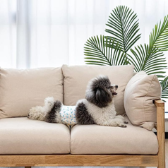 PAÑAL ABSORBENTE TALLA S X12