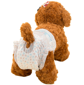 PAÑAL ABSORBENTE TALLA L X12