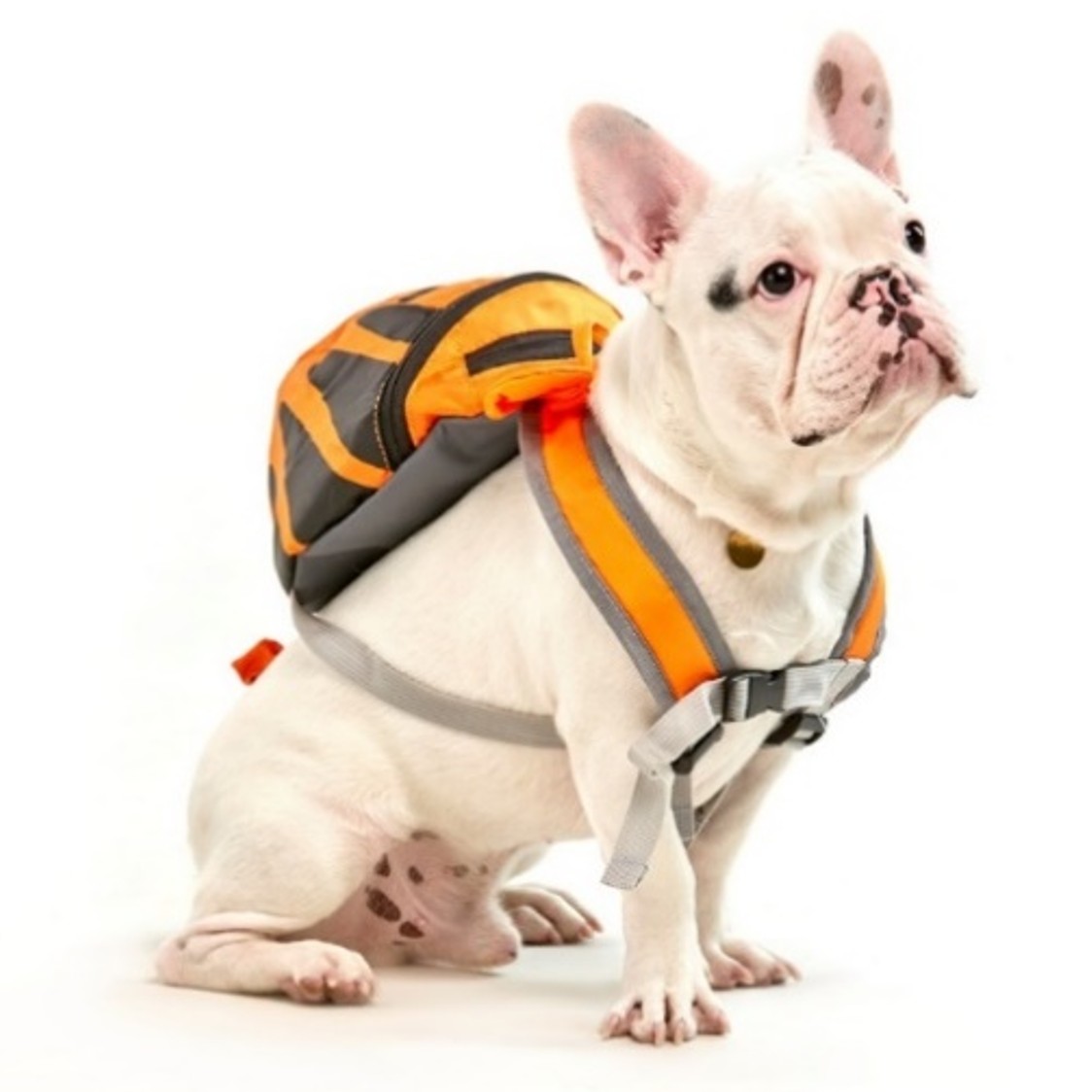 ARNES CON BOLSO Y CHOMPA TIGGER