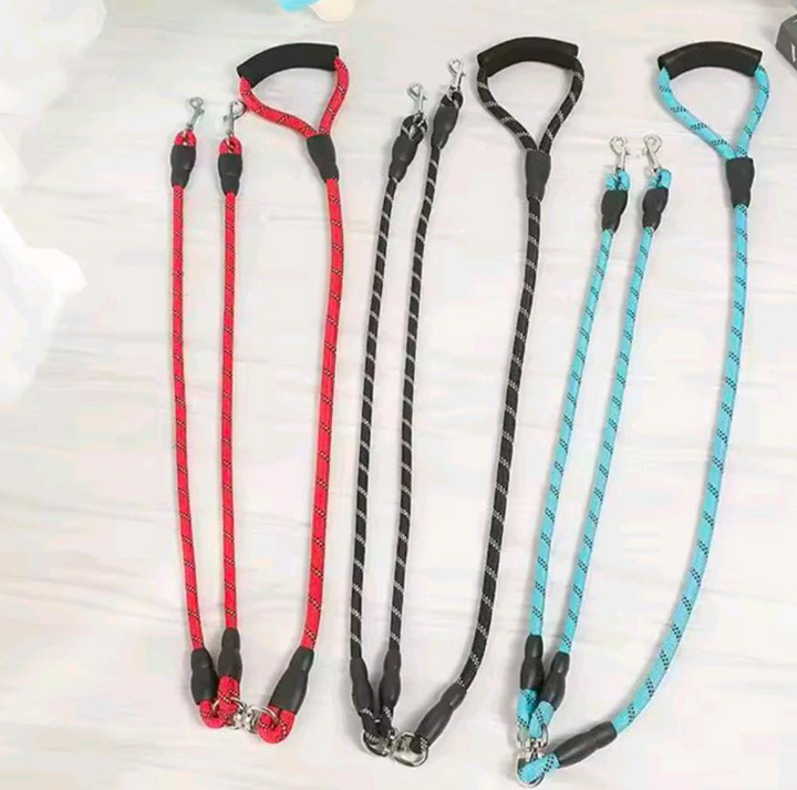 PASEADOR DOS SALIDAS