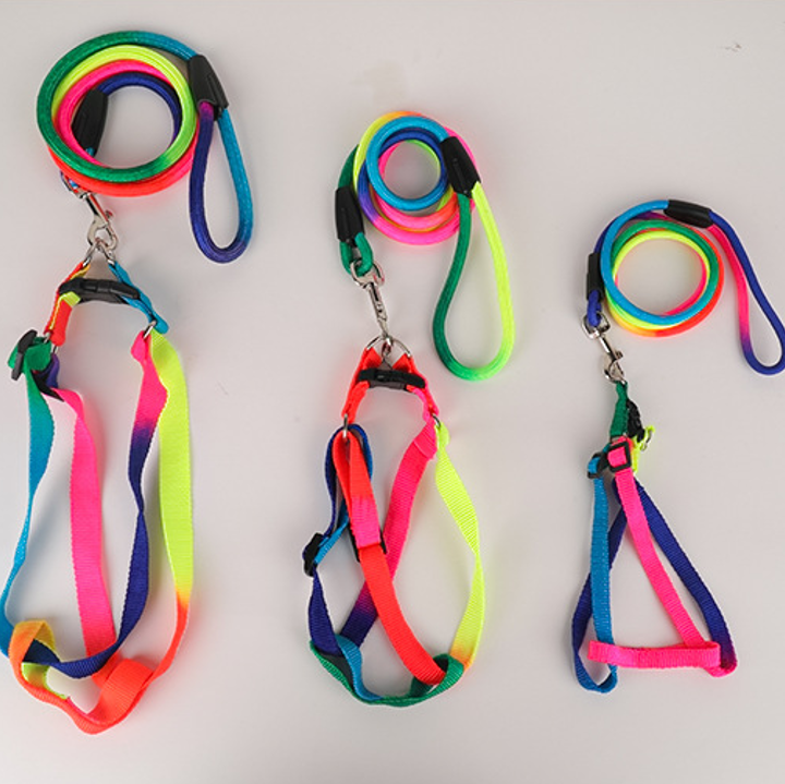 ARNES CON CORREA MULTICOLOR  PEQUEÑO