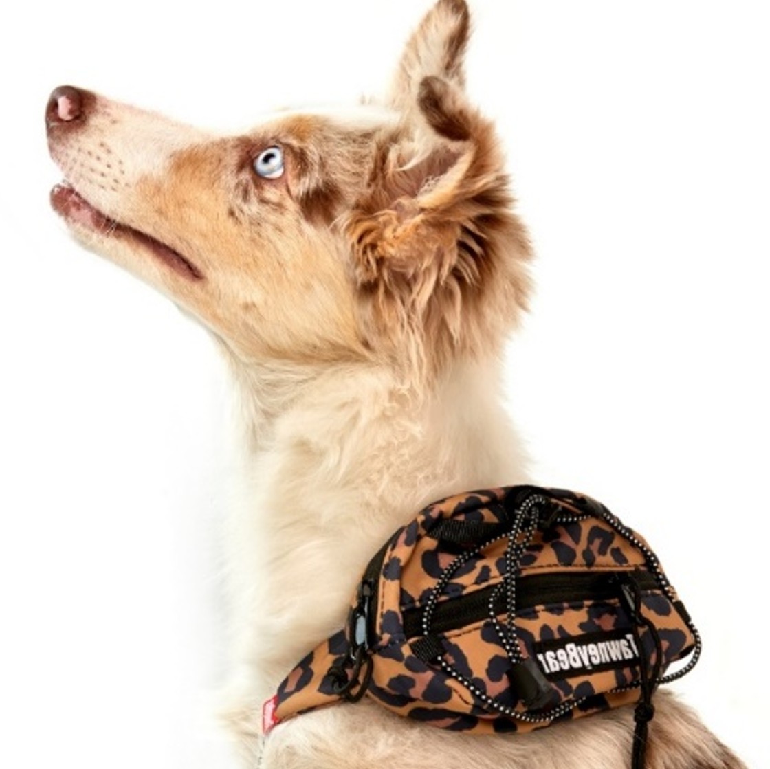 RIÑONERA PARA MASCOTAS