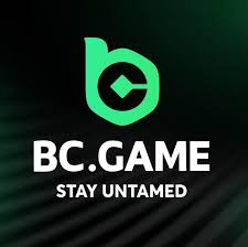 Overview of BCGame.sk Casino A Comprehensive Guide