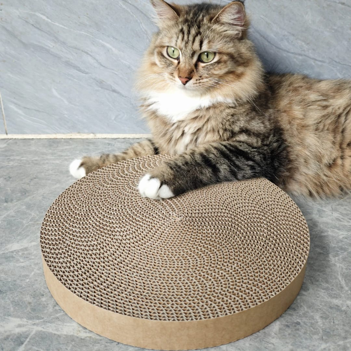 REPUESTO RASCADOR DIAMETRO 32CM