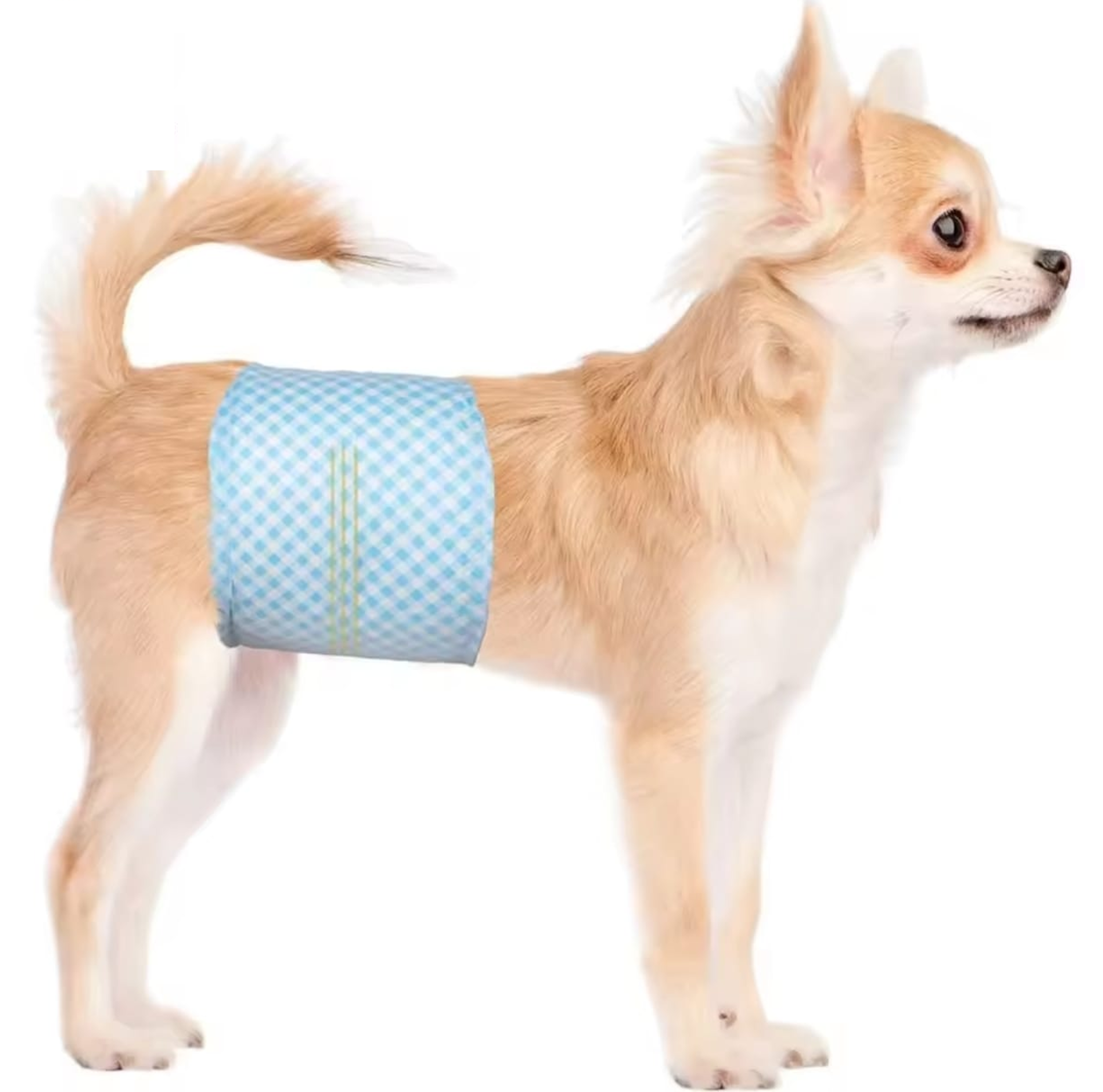 PAÑAL PARA MACHO TALLA M X12