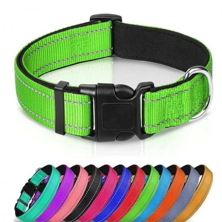 COLLAR COLORES CON SEGURO PEQUEÑO