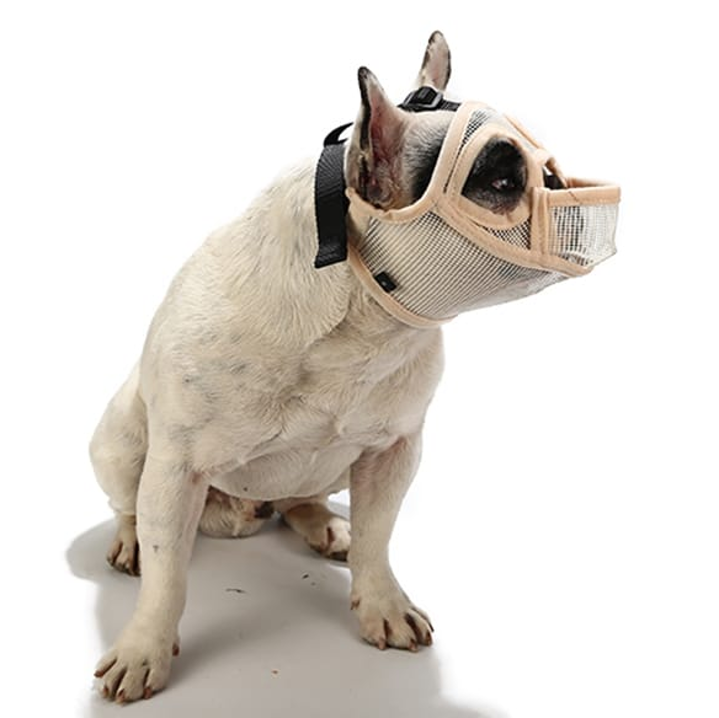 BOZAL CHATO BULLDOG TALLA M Y L