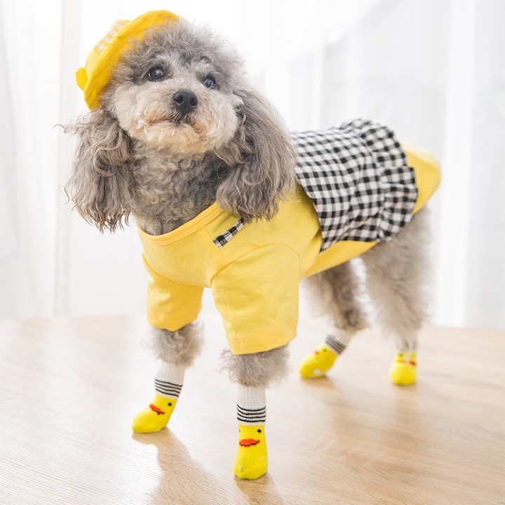 MEDIAS PARA MASCOTAS TALLA S/M/L