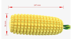 MAZORCA DURA CHILLONA